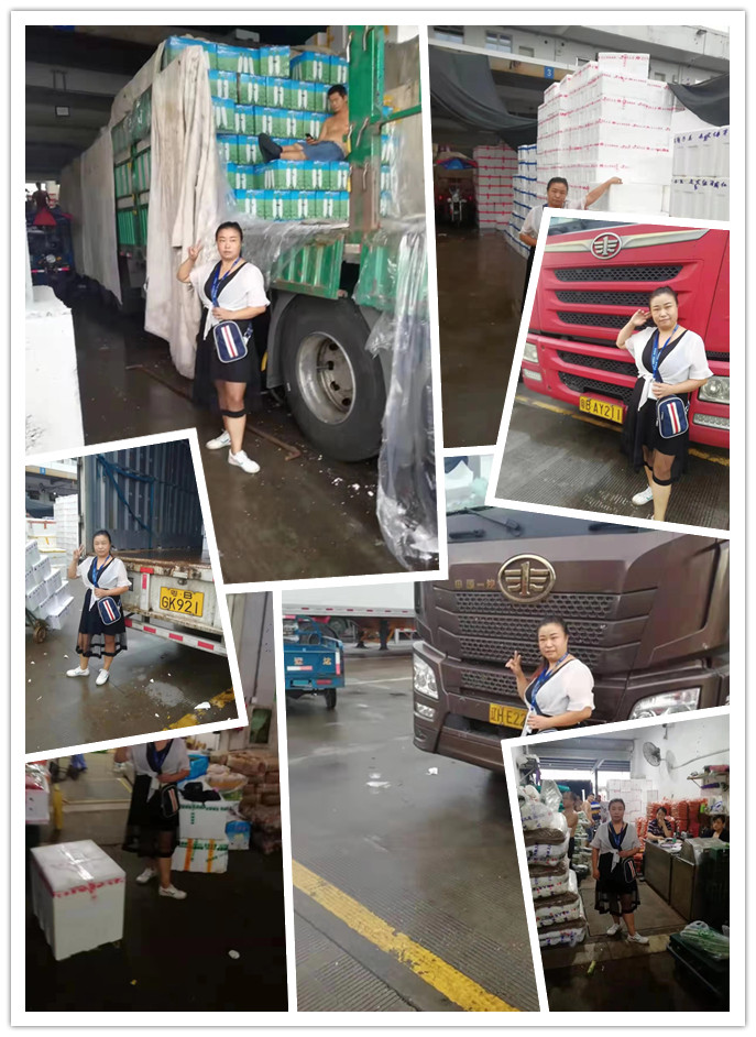 122cc太阳集成游戏(中国)有限公司官网