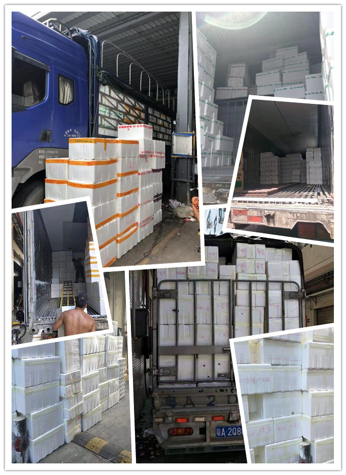 122cc太阳集成游戏(中国)有限公司官网