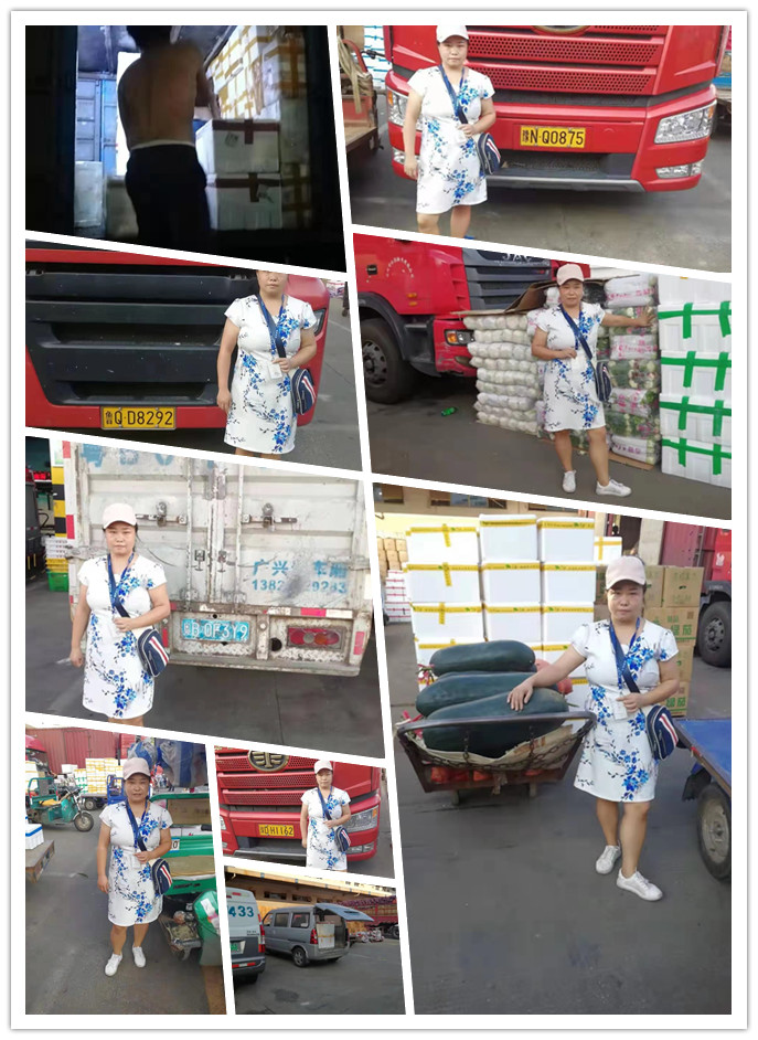 122cc太阳集成游戏(中国)有限公司官网