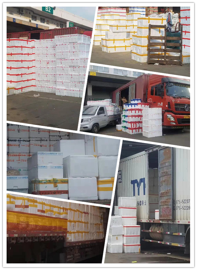 122cc太阳集成游戏(中国)有限公司官网