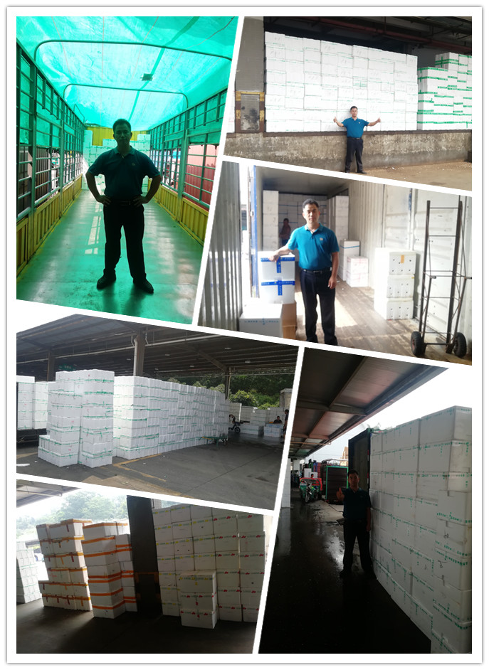 122cc太阳集成游戏(中国)有限公司官网