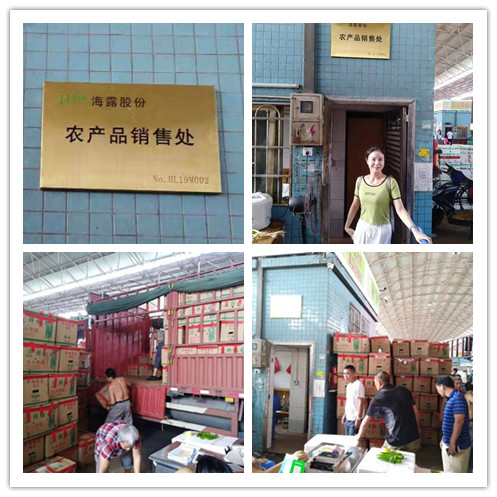 122cc太阳集成游戏(中国)有限公司官网