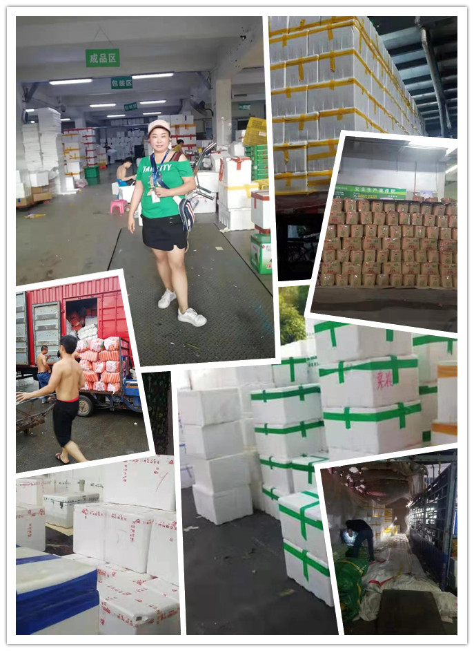 122cc太阳集成游戏(中国)有限公司官网