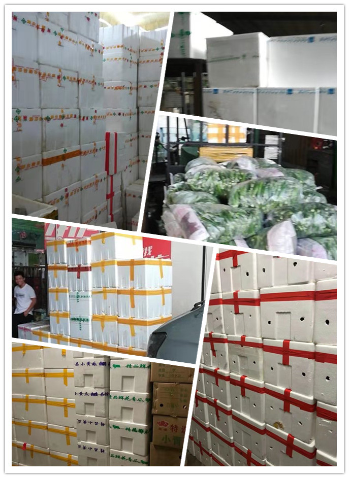 122cc太阳集成游戏(中国)有限公司官网