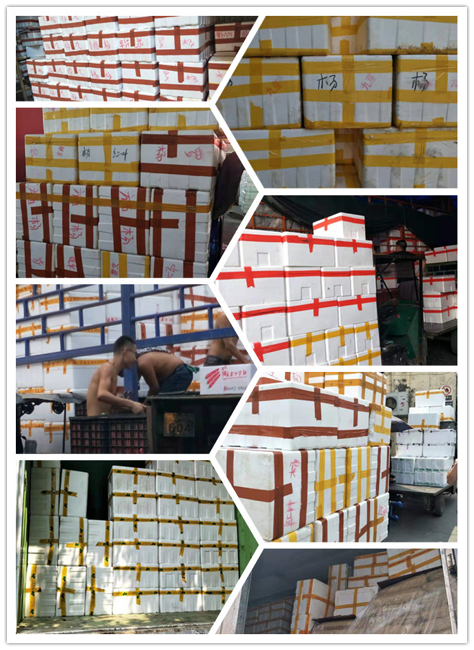 122cc太阳集成游戏(中国)有限公司官网