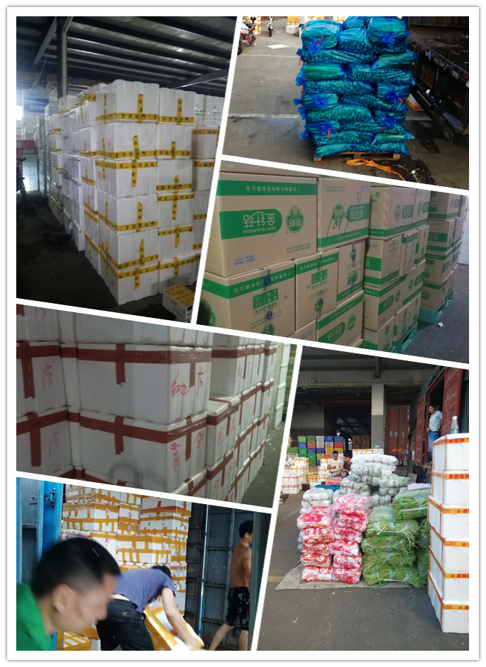 122cc太阳集成游戏(中国)有限公司官网