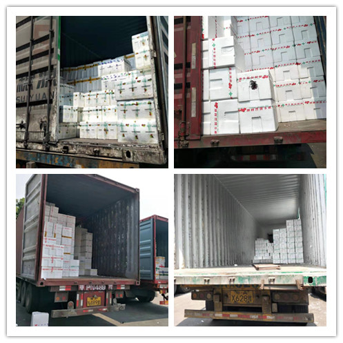 122cc太阳集成游戏(中国)有限公司官网