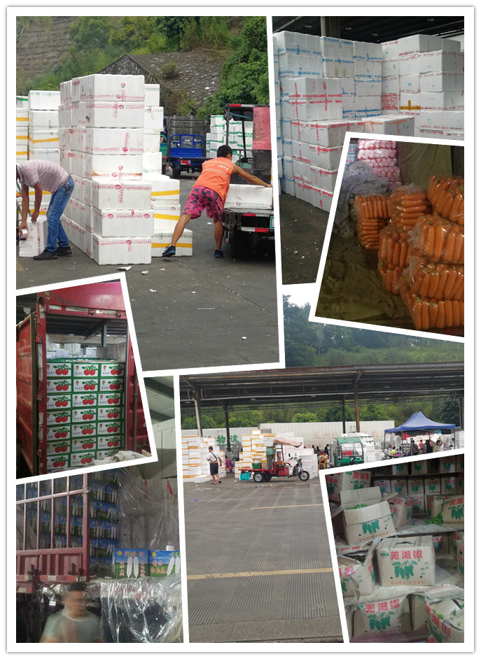 122cc太阳集成游戏(中国)有限公司官网