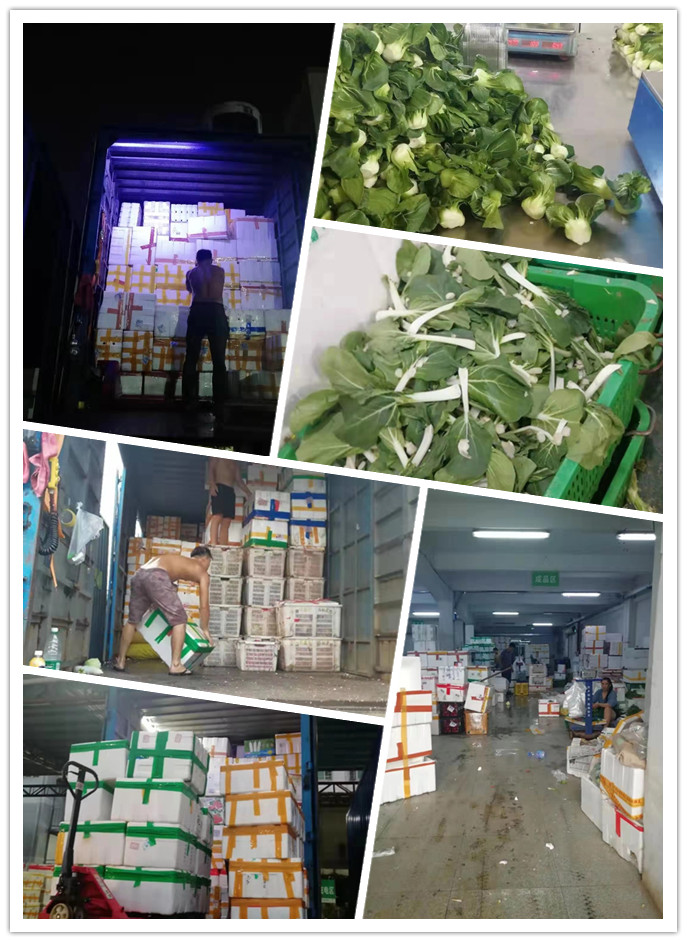 122cc太阳集成游戏(中国)有限公司官网