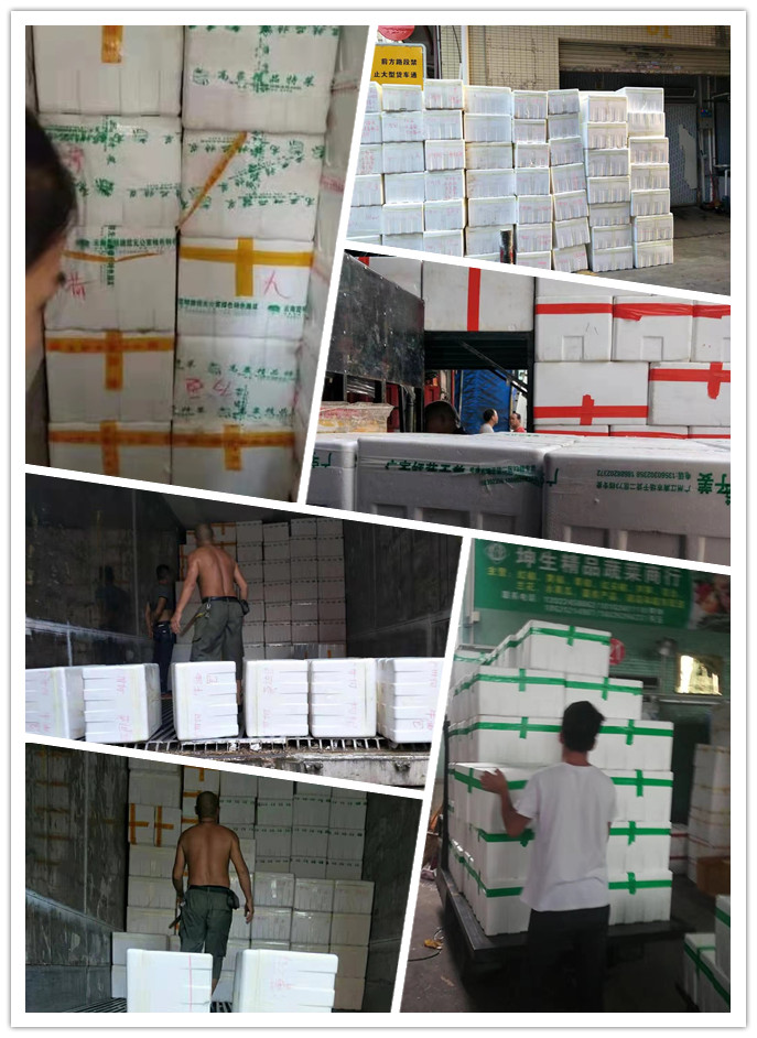 122cc太阳集成游戏(中国)有限公司官网