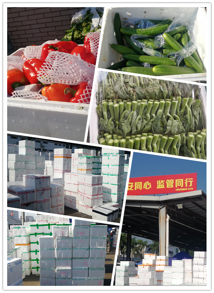 122cc太阳集成游戏(中国)有限公司官网