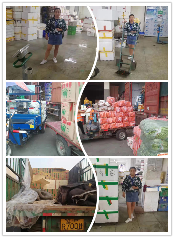 122cc太阳集成游戏(中国)有限公司官网