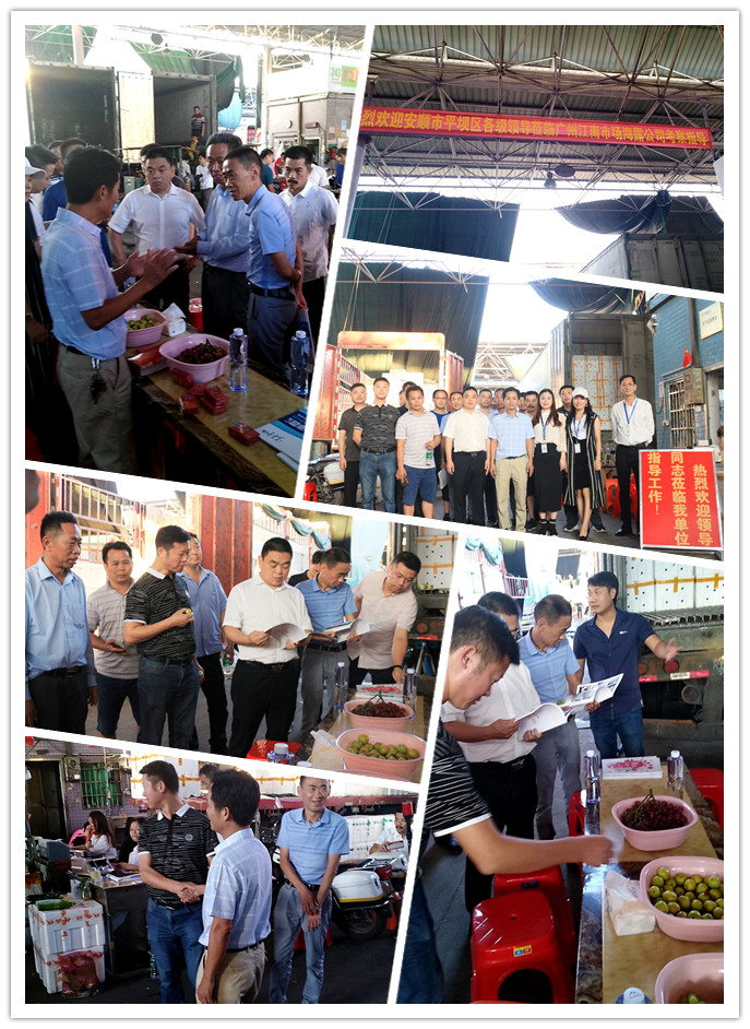 122cc太阳集成游戏(中国)有限公司官网