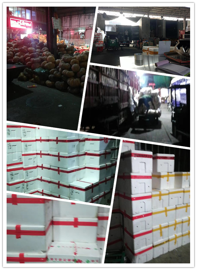 122cc太阳集成游戏(中国)有限公司官网