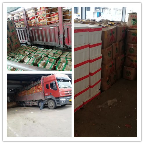 122cc太阳集成游戏(中国)有限公司官网