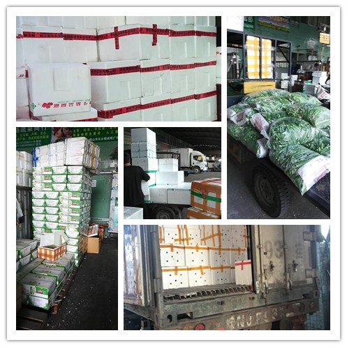 122cc太阳集成游戏(中国)有限公司官网