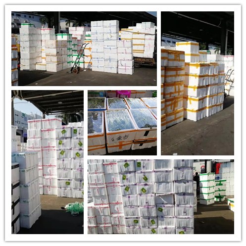 122cc太阳集成游戏(中国)有限公司官网