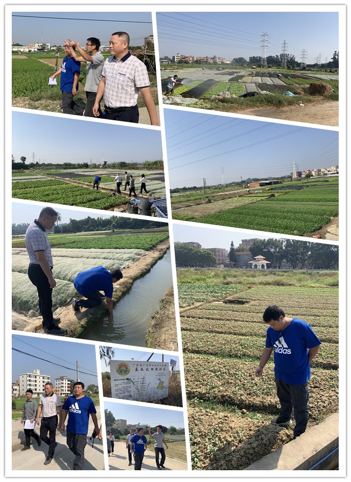 122cc太阳集成游戏(中国)有限公司官网