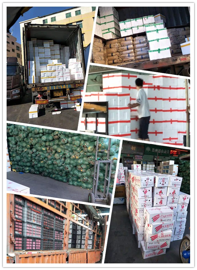 122cc太阳集成游戏(中国)有限公司官网