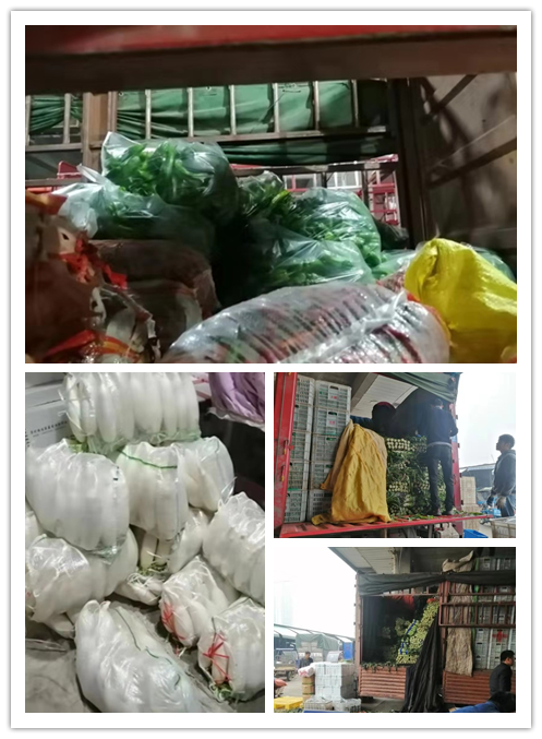 122cc太阳集成游戏(中国)有限公司官网