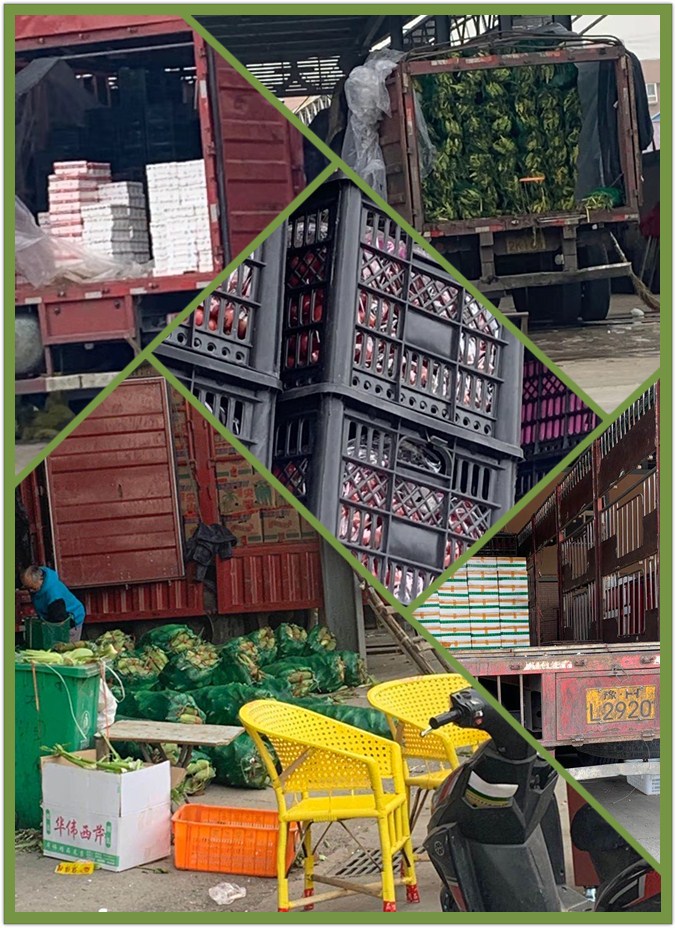 122cc太阳集成游戏(中国)有限公司官网