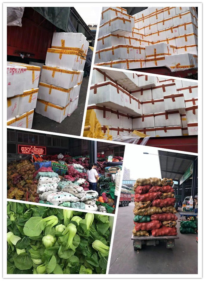 122cc太阳集成游戏(中国)有限公司官网