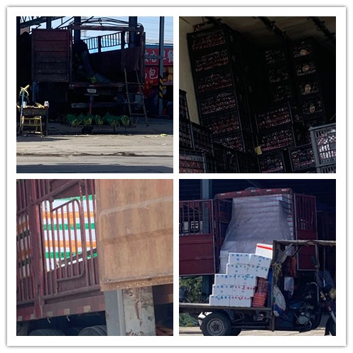 122cc太阳集成游戏(中国)有限公司官网