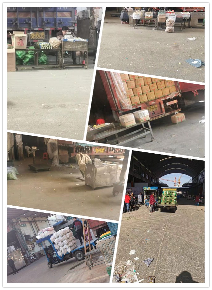 122cc太阳集成游戏(中国)有限公司官网