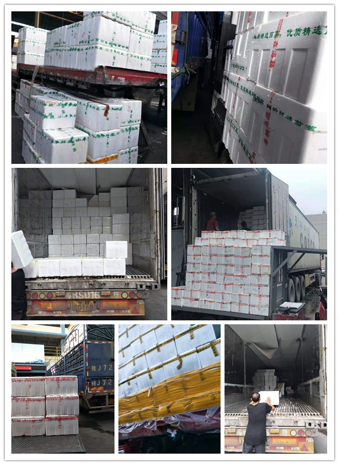 122cc太阳集成游戏(中国)有限公司官网