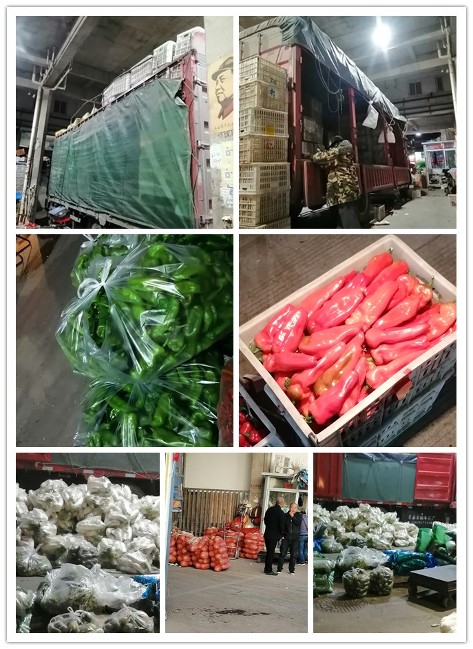 122cc太阳集成游戏(中国)有限公司官网