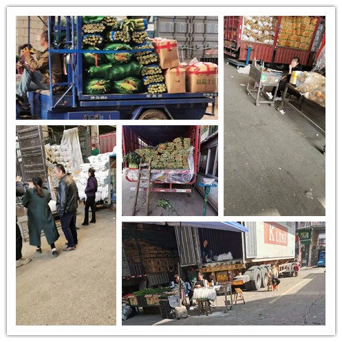 122cc太阳集成游戏(中国)有限公司官网