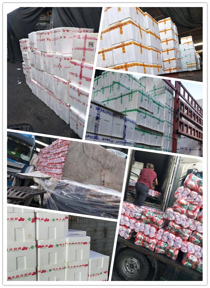 122cc太阳集成游戏(中国)有限公司官网