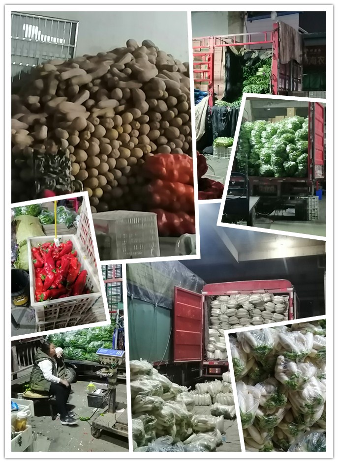 122cc太阳集成游戏(中国)有限公司官网