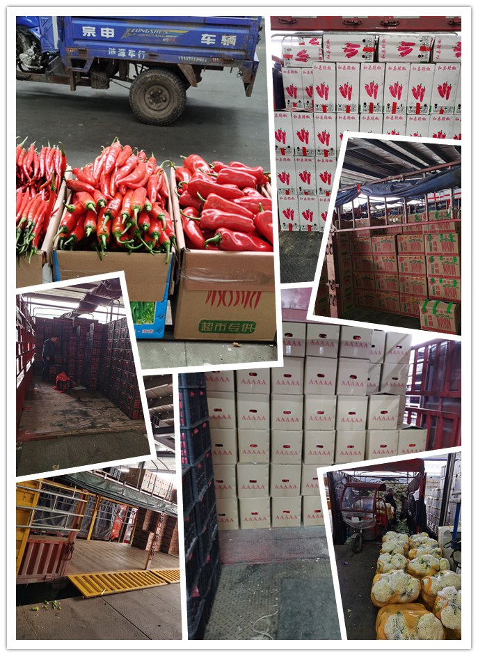 122cc太阳集成游戏(中国)有限公司官网