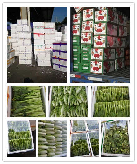 122cc太阳集成游戏(中国)有限公司官网