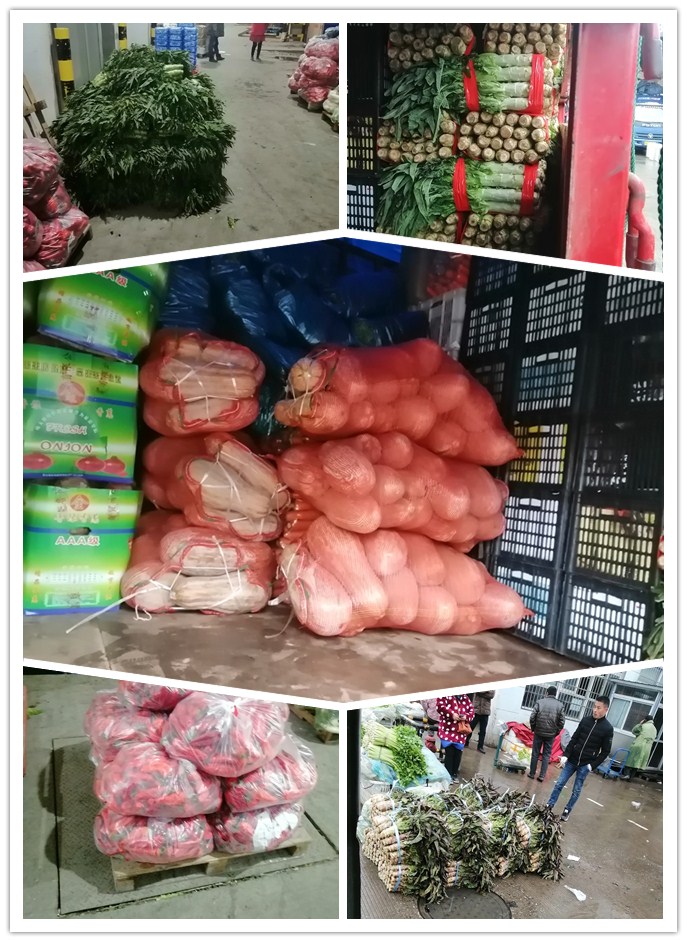 122cc太阳集成游戏(中国)有限公司官网