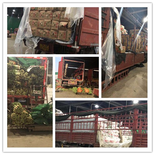 122cc太阳集成游戏(中国)有限公司官网