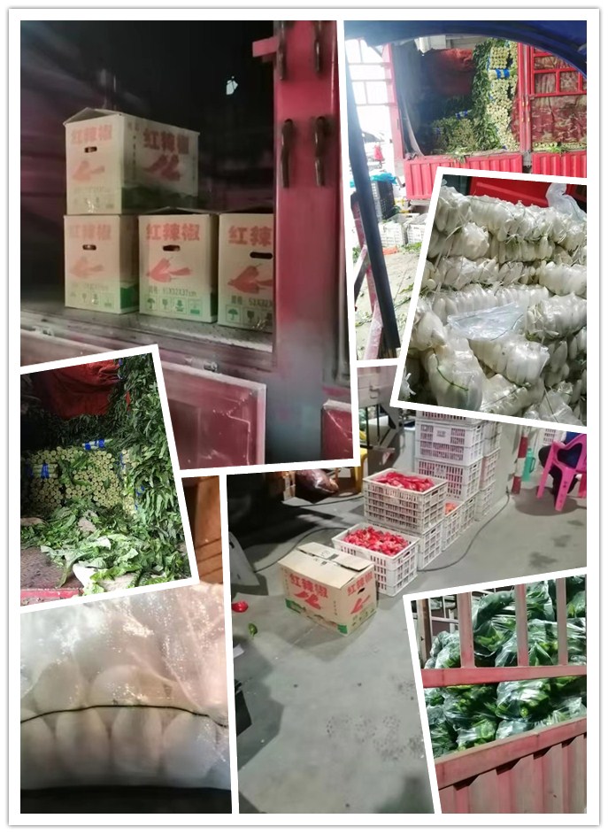 122cc太阳集成游戏(中国)有限公司官网