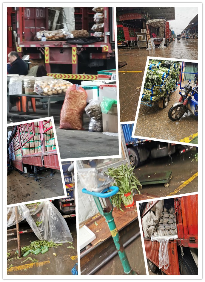 122cc太阳集成游戏(中国)有限公司官网