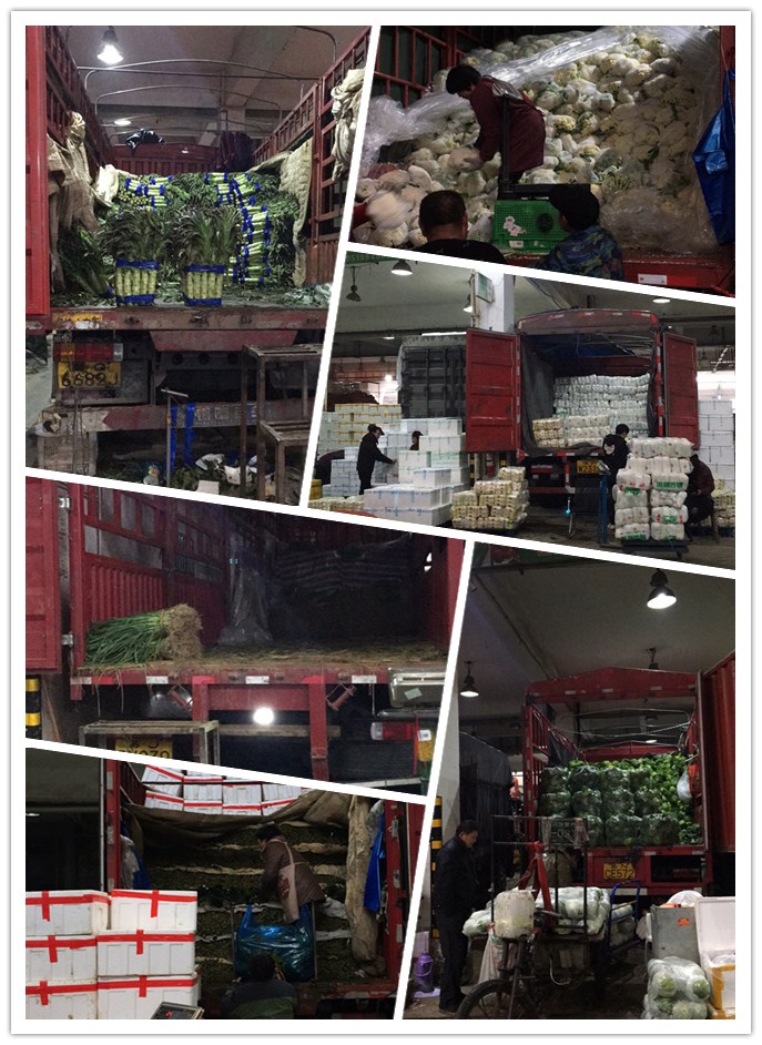 122cc太阳集成游戏(中国)有限公司官网