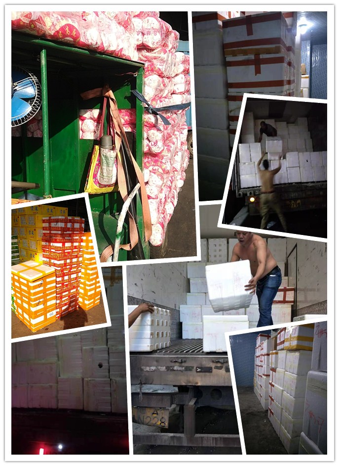 122cc太阳集成游戏(中国)有限公司官网