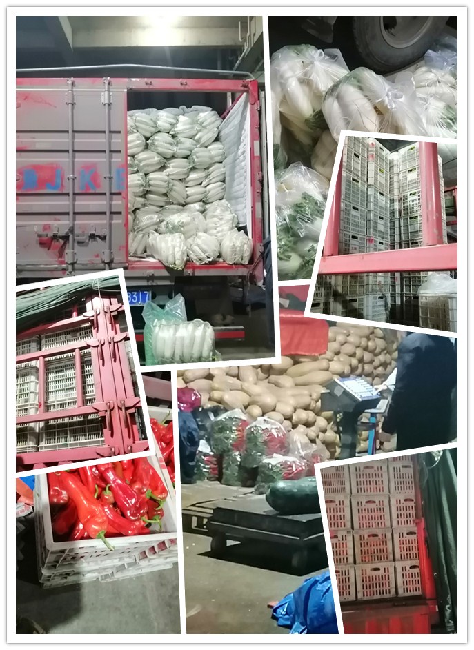 122cc太阳集成游戏(中国)有限公司官网