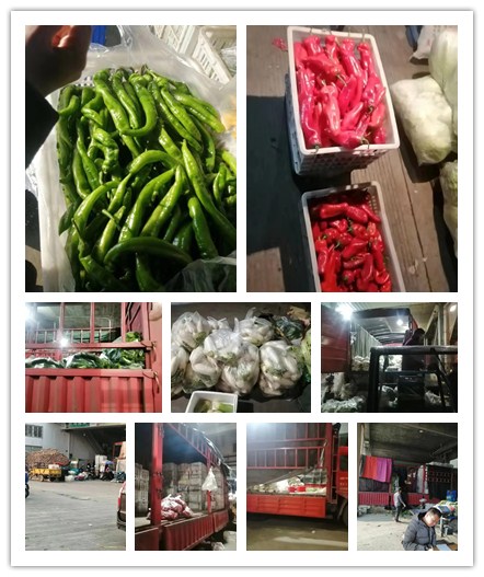 122cc太阳集成游戏(中国)有限公司官网