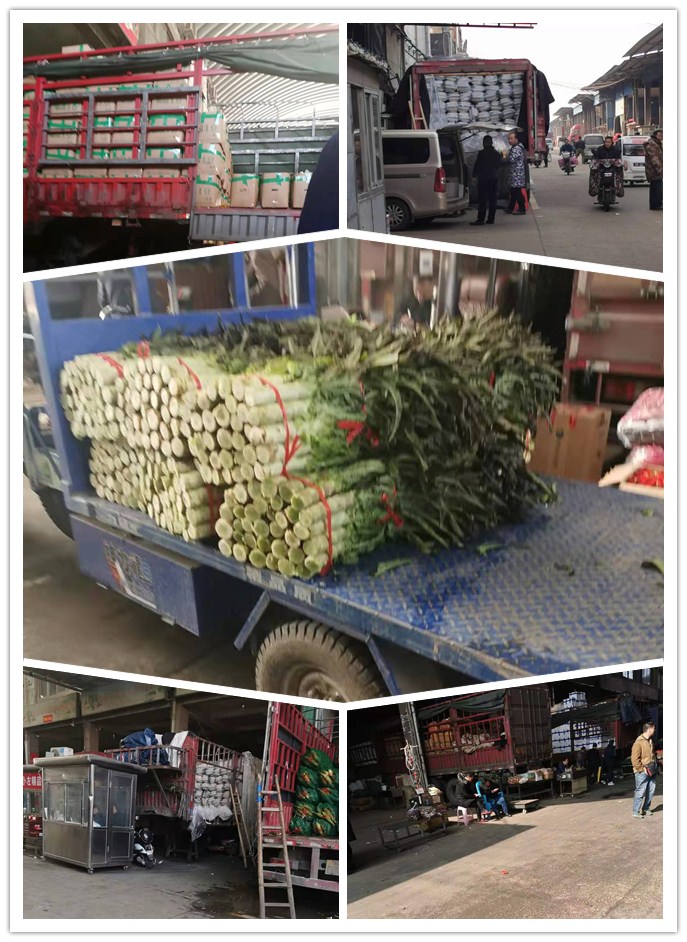 122cc太阳集成游戏(中国)有限公司官网