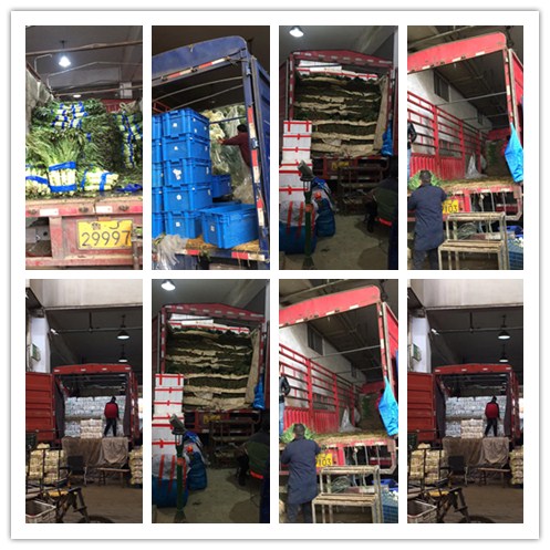 122cc太阳集成游戏(中国)有限公司官网