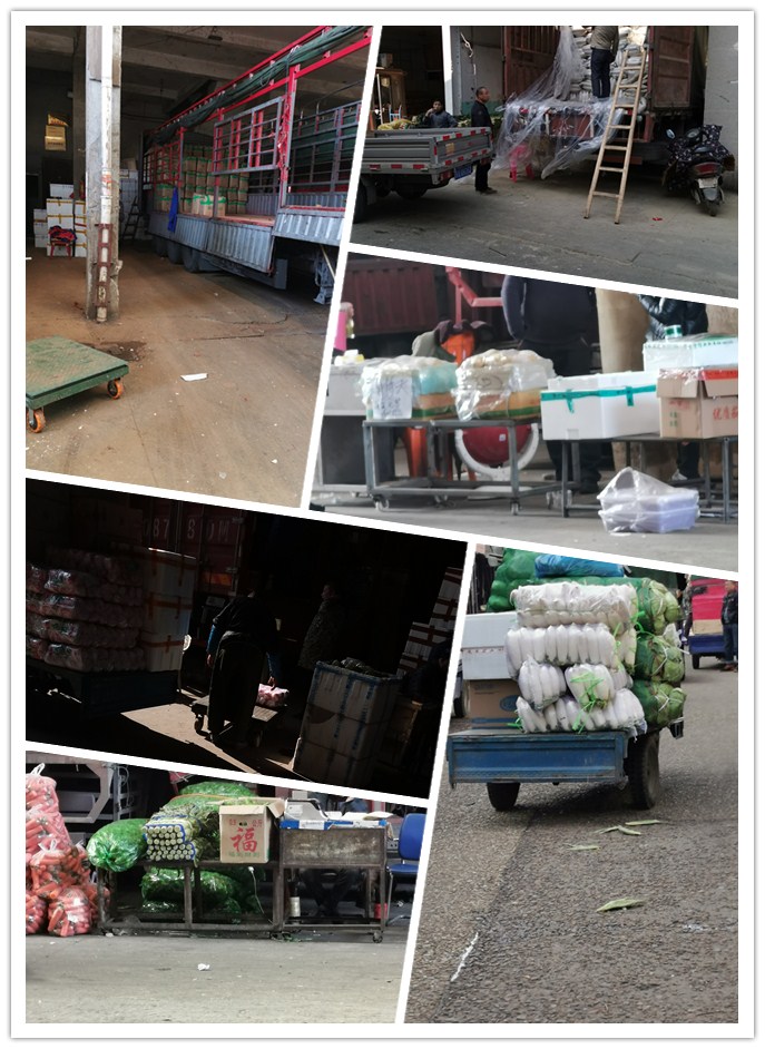 122cc太阳集成游戏(中国)有限公司官网