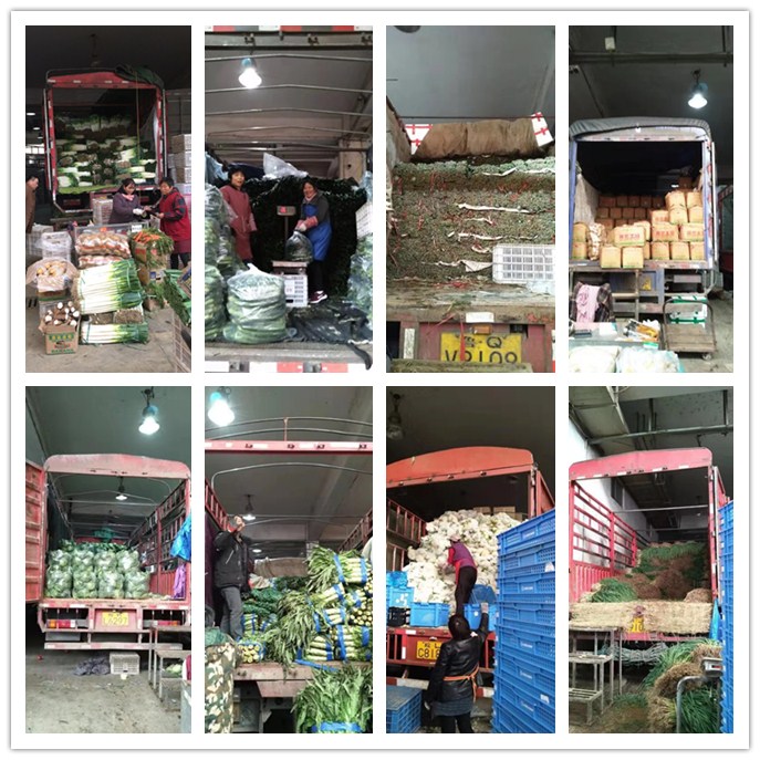 122cc太阳集成游戏(中国)有限公司官网