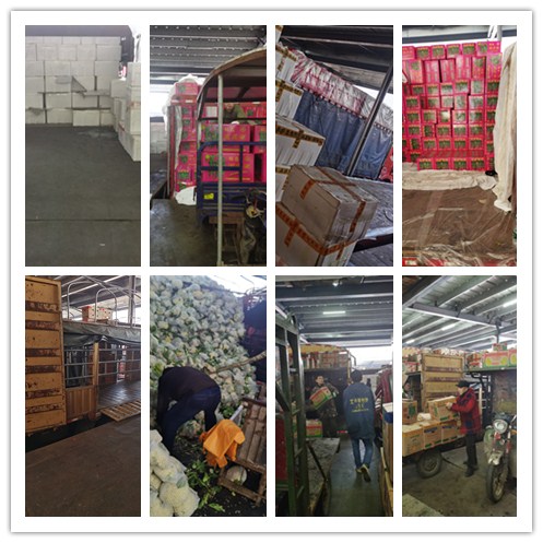 122cc太阳集成游戏(中国)有限公司官网