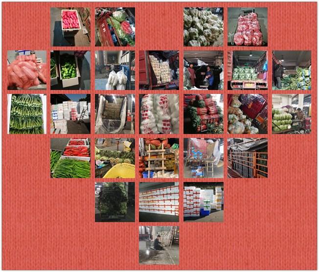 122cc太阳集成游戏(中国)有限公司官网