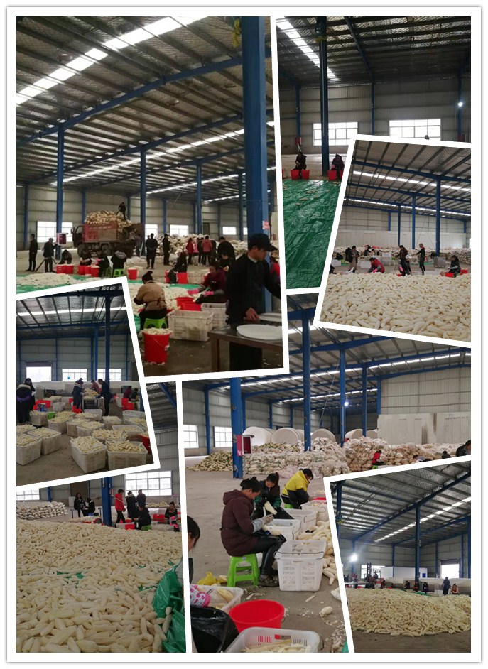 122cc太阳集成游戏(中国)有限公司官网